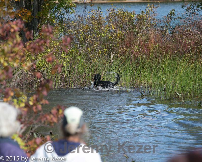 20151010-wcxw-0002.jpg