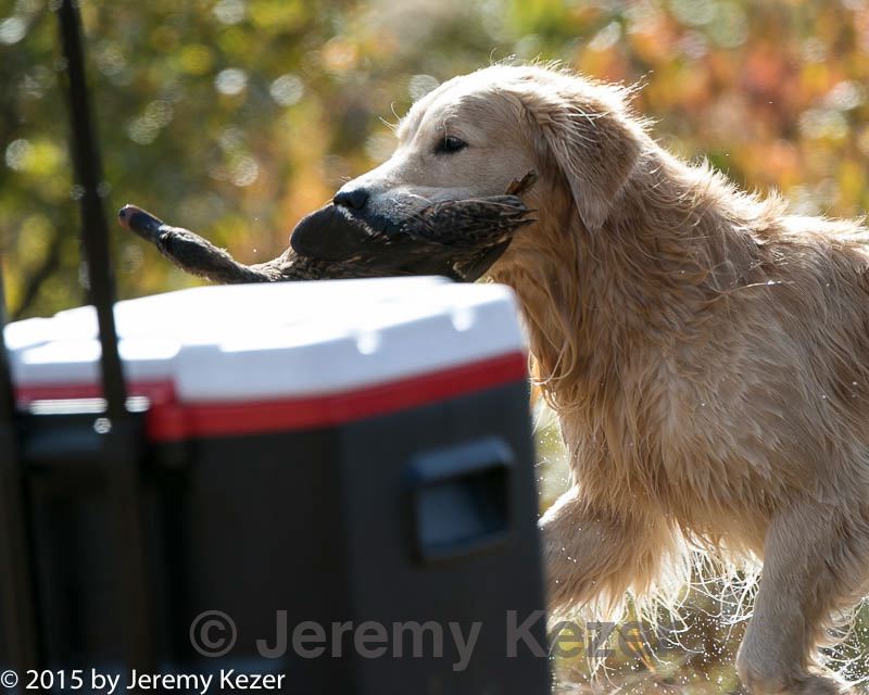 20151010-wcxw-0033.jpg