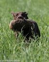 20160604-seal-0142