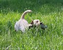 20160604-seal-0159