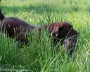 20160604-seal-0186
