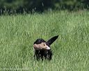 20160604-seal-0317