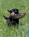 20160604-seal-0354