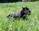 20160604-seal-0370