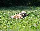 20160604-seal-0477