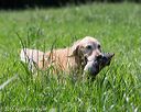 20160604-seal-0480