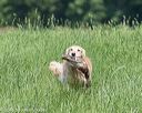 20160604-seal-0492