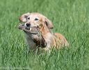 20160604-seal-0503