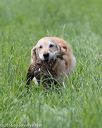 20160604-seal-0525