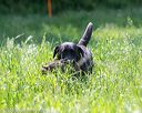 20160604-seal-0546