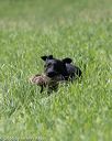 20160604-seal-0574