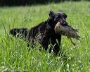 20160604-seal-0604