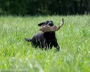20160604-seal-0722