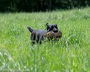 20160604-seal-0723