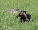 20160604-seal-0737