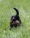 20160604-seal-0761