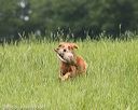 20160604-seal-0856