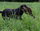 20160604-seal-0911