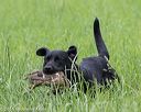 20160604-seal-0929