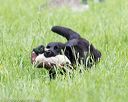 20160604-seal-0986