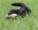 20160604-seal-0991