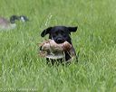 20160604-seal-1110