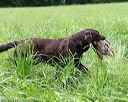20160604-seal-1169