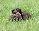 20160604-seal-1183