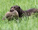 20160604-seal-1189