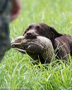 20160604-seal-1212