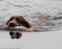 20160604-seaw-0024