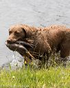 20160604-seaw-0057