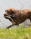 20160604-seaw-0059