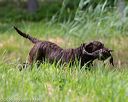 20160604-seaw-0119