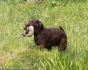 20160604-seaw-0156