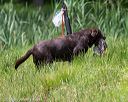 20160604-seaw-0164