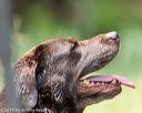 20160604-seaw-0208