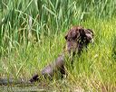 20160604-seaw-0222