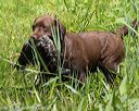 20160604-seaw-0254