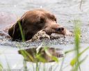 20160604-seaw-0282