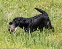 20160604-seaw-0334