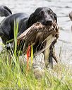 20160604-seaw-0392