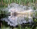20160604-seaw-0412