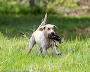20160604-seaw-0416
