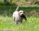 20160604-seaw-0418