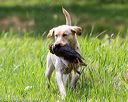 20160604-seaw-0421