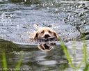 20160604-seaw-0435
