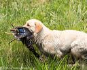 20160604-seaw-0476
