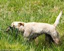 20160604-seaw-0478