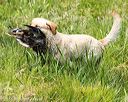 20160604-seaw-0481